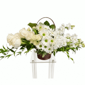 Peaceful Reflections